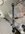 BB517BF3-6FFD-458B-ACB9-B424506EF7CF.jpeg