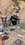 E0DB8EBD-63DB-4924-A675-2471CDC3A490.jpeg