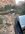 D78582FD-A9A2-422B-8B64-F5C6759C9503.jpeg