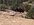 D1E54258-776A-4125-987C-85658DE25127.jpeg