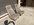 IMG_5392.jpeg