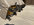 IMG_5400.jpeg