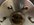 72F07E5A-110E-48C8-9343-5DA09BBCE72A.jpeg