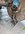received_1196821750877718.jpeg