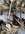 BC64A0CE-4135-417A-B5CF-DE685FD6FC5E.jpeg