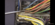 F6E0F9F7-C5F1-4CCB-94F3-4D43AB4F7090.png