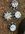 126FC24B-49AB-4337-9A48-3AAC5AE9CF0F.jpeg