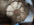 1664222336660.png