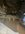 740648ED-AAFB-490B-A2AA-106658562499.jpeg