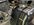 747729A8-C15B-44C2-AC25-F9539EB2A64B.jpeg