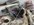 DA1777DF-A87C-456C-9E36-15C843311A8C.jpeg