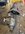 B33FAD68-9008-465F-A96F-3523811DAADF.jpeg