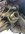 5DD0470B-FE45-43B2-AB8F-4BED2DF0139F.jpeg