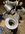 1BB9F9E7-C06A-44C1-B469-19C0D3B643DD.jpeg