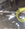 33E51716-FBD0-49DF-8AF3-E8A6B6870334.jpeg