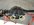 AF6AB32B-DCFC-4B92-AD90-97C4A68B854A.jpeg