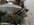 C2A8BCDD-7879-4B20-AC99-6BA69114EE11.jpeg