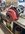 5AE64795-BE53-4ED5-B43C-487685F2D307.jpeg