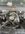 E19959F0-A14D-41A1-9C8C-8FCCA2FFC271.jpeg