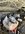 B5189B92-ECA3-4D7F-A72C-3FBCDE6EF438.jpeg