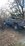 54900F6D-9902-42B3-9C7D-99B8873B8DA8.jpeg