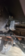 1667326226655.png