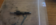1667326306230.png