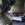 310B5B0F-4773-498C-9509-F24968EB02BE.jpeg