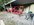 79370150-7017-4FF1-BAD4-76795D3D6A29.jpeg