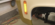 591B5141-56A3-40D4-BE5C-FB8037607493.png
