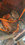 7AA21C7B-B37A-4F82-BD83-CE4F0F6F6B41.jpeg