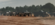 1214CFA9-F0EA-4BE2-B231-F04D6EA86828.png