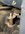 942A6F58-851D-4034-B3B1-6C98084F9A82.jpeg