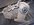 467CDCBA-96C9-4C1A-B794-E85EF0B67A3F.jpeg