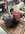 FB3C1A3D-F63E-4B27-939E-5AC38699ED55.jpeg