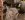654356_272_full.jpg