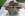 dcp_5360HolleyCarb.jpg