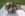 dcp_5363HolleyCarb.jpg