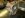 Im004065.jpg