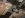 DSCF0016.JPG