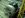 01010401020901030120070918c622666699110ebdd000c6a1.jpg