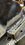 IMG_1586.JPEG