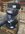54741323-7D8A-41BB-AABE-5CBF8867F8A7.jpeg