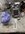29C6C4D0-1FF9-41CF-9706-7F11F54EAEF9.jpeg