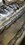 IMG_1698.JPEG