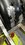 IMG_1687.JPEG
