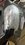 IMG_1703.JPEG