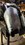 IMG_1707.JPEG