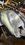 IMG_1718.JPEG