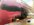A344D490-3DA0-48B0-8453-7E05275380CB.jpeg